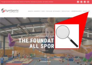 Website home page search highlight