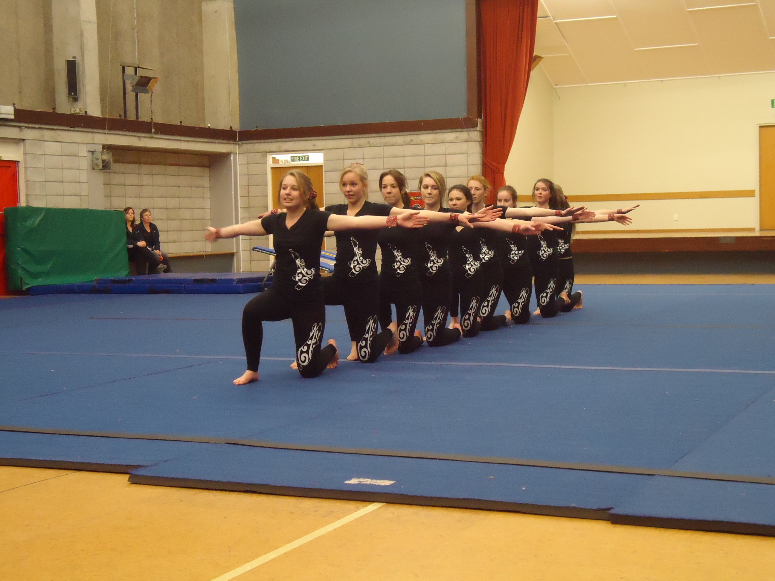Team Gym 1 GymnasticsNZ