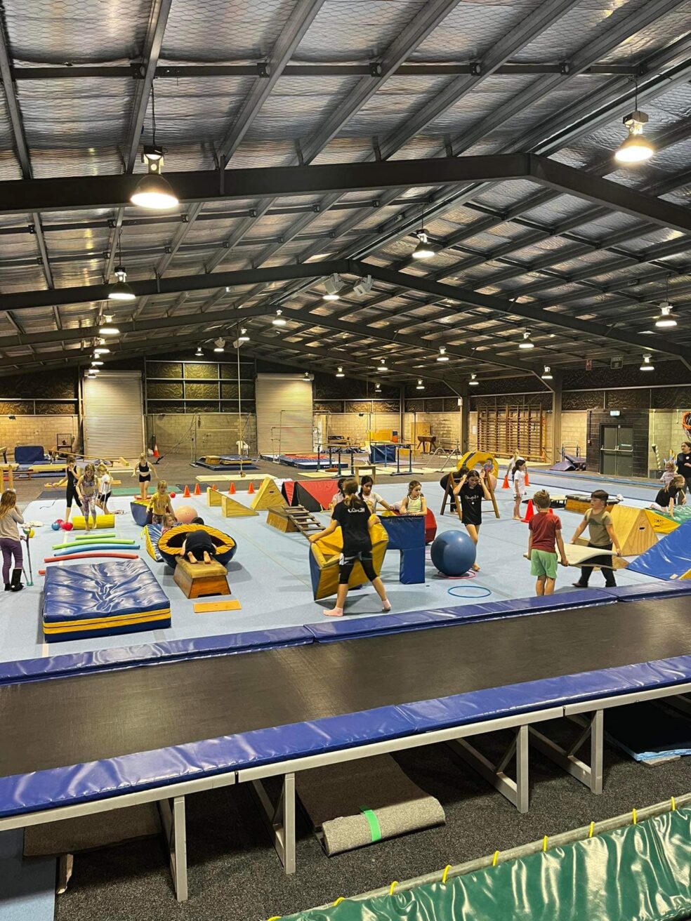 Hamilton’s Turn and Gymnastic Circle Embracing the Future of Gymnastics